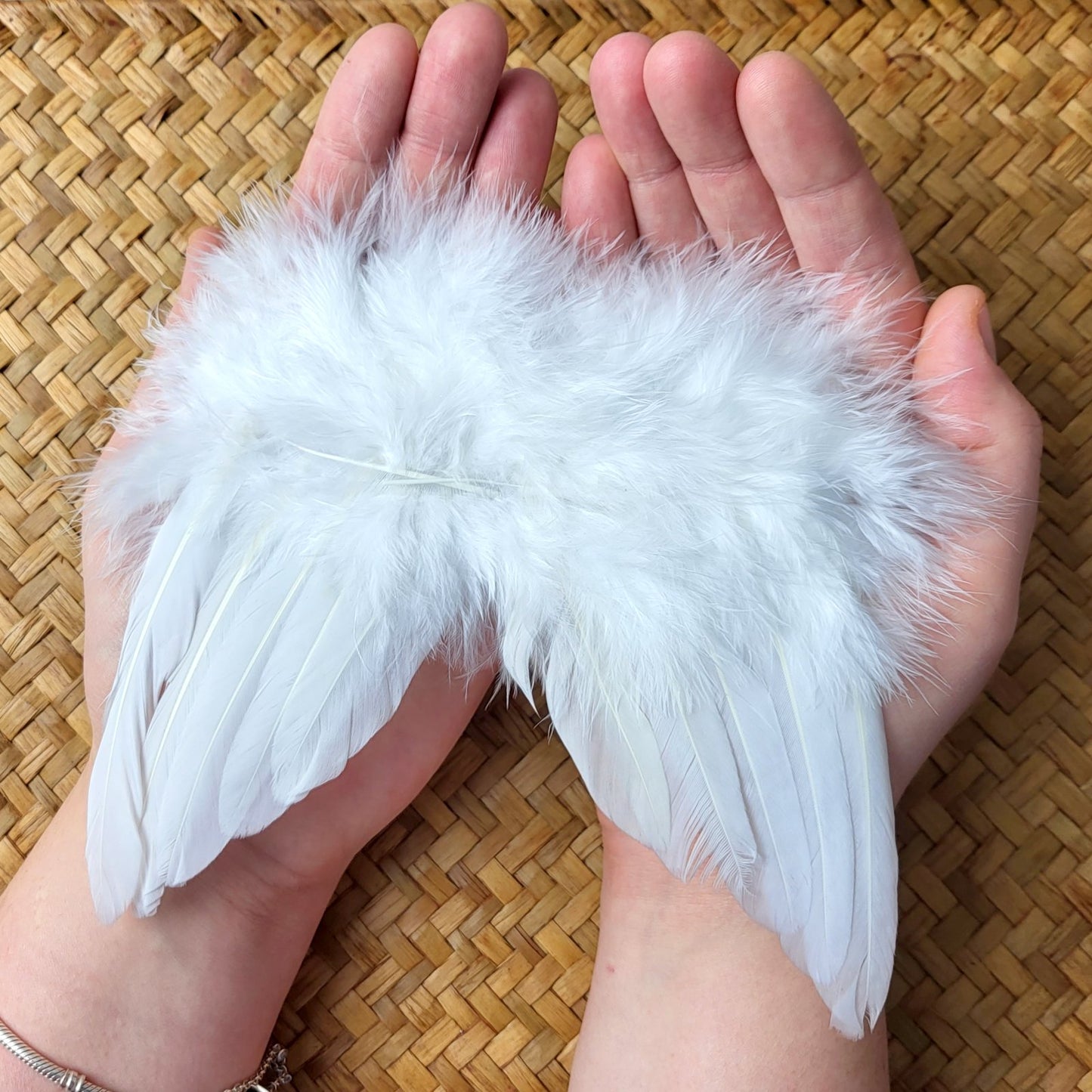 white feather angel wings for photo props